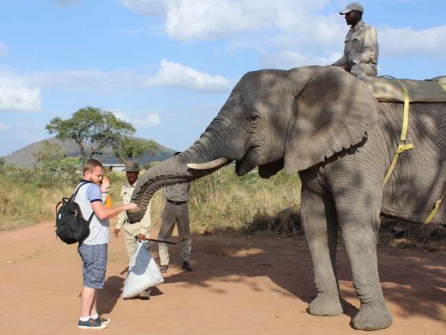 Elephant Interaction